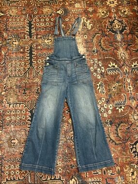 EVEREVE Denim Wide-Leg Overalls in Blue